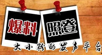 丰顺新闻爆料,揭秘当地热点事件背后的真相 第2张 丰顺新闻爆料,揭秘当地热点事件背后的真相 第2张