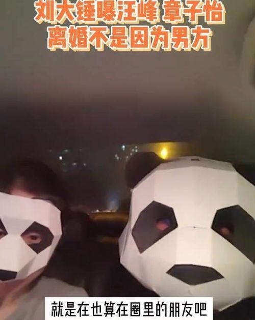 刘大锤爆料婚变视频大全,揭秘娱乐圈夫妻背后的真相 第1张 刘大锤爆料婚变视频大全,揭秘娱乐圈夫妻背后的真相 第1张